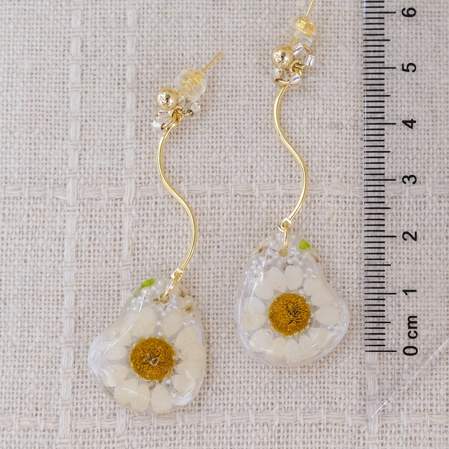 「雛菊🌼のささやき」第二弾