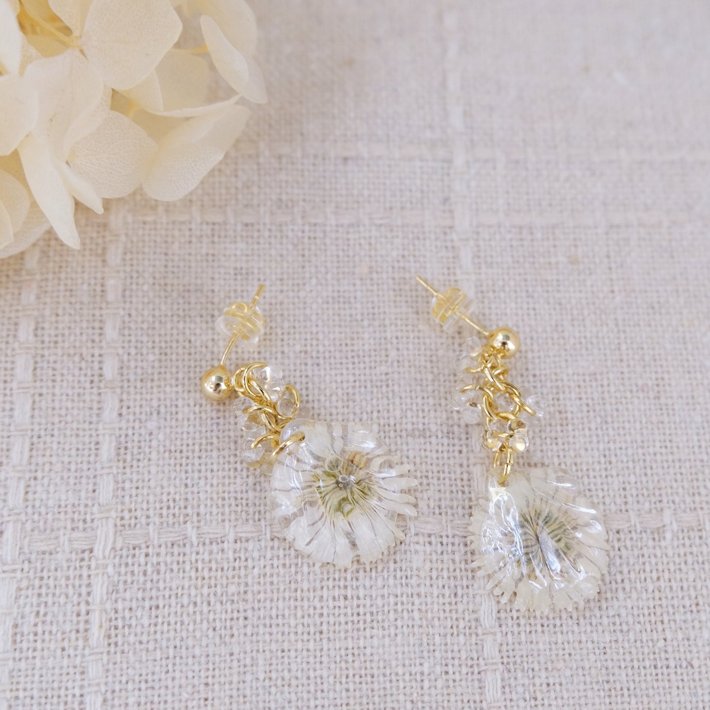 「雛菊🌼のささやき」第二弾