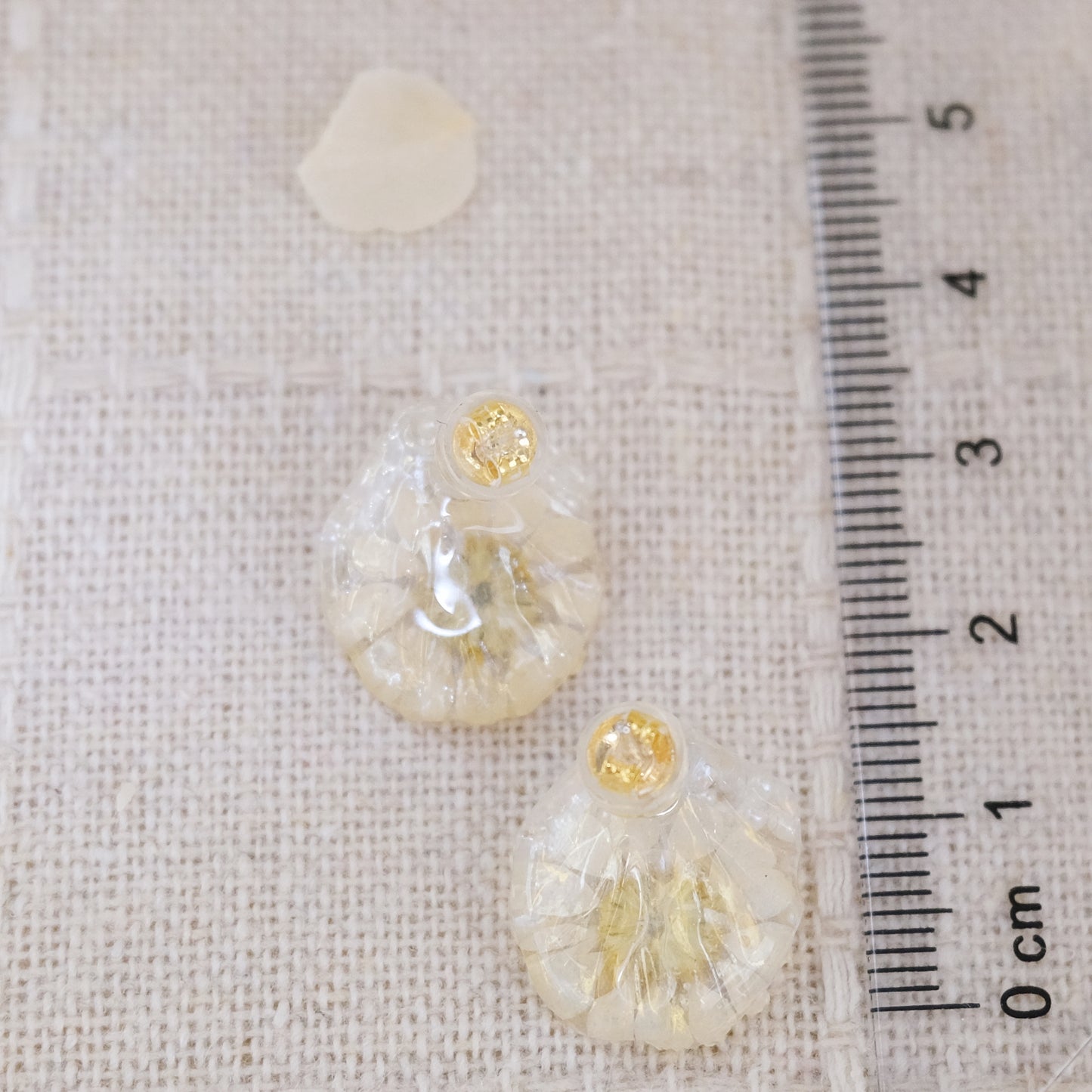 「雛菊🌼のささやき」第二弾