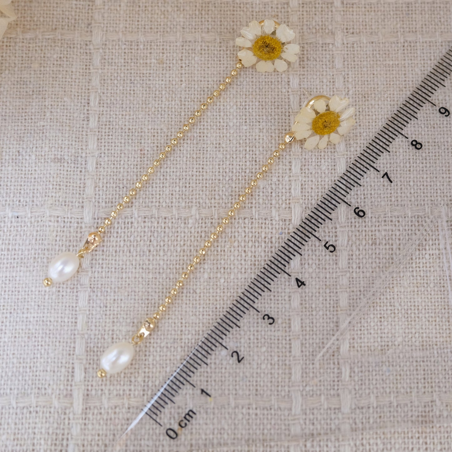 「雛菊🌼のささやき」第二弾