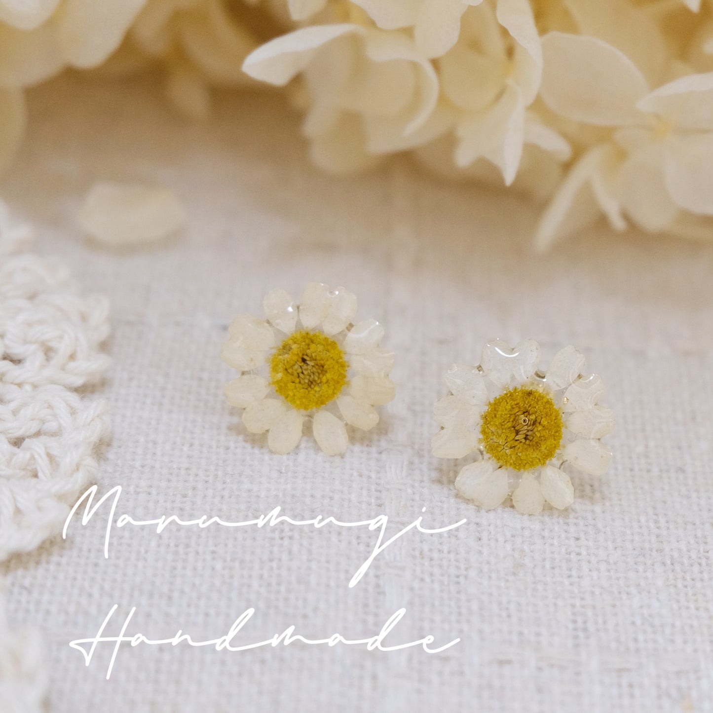 「雛菊🌼のささやき」第二弾